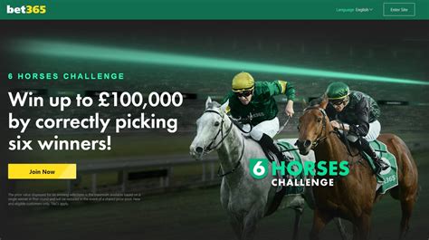 bet365 horse racing log in.